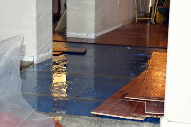 Professional Water Damage Restoration technician working in Arnold, CA